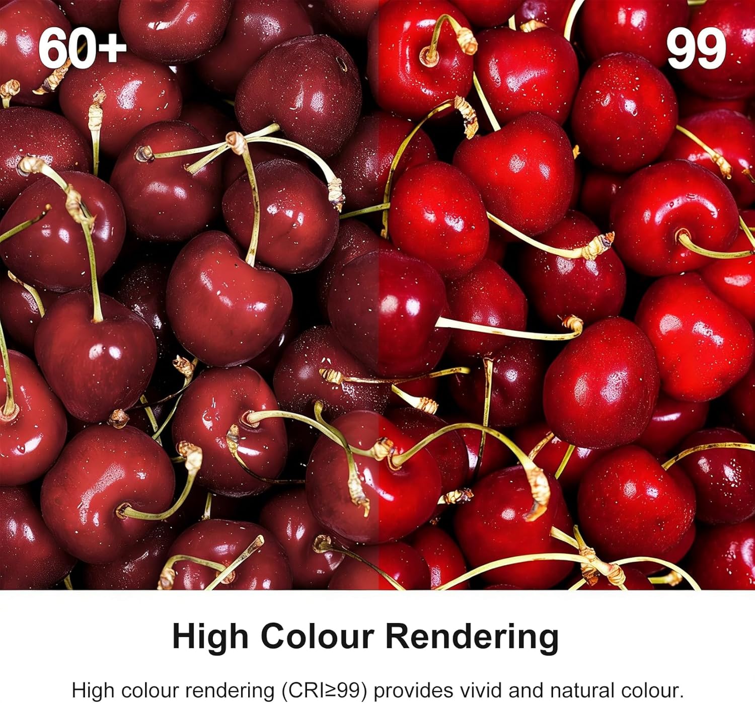 G4 Halogen Light Bulbs 20W 12V, 10 Pack Clear Capsule 2 Pin Lamp Bulb Halogen Pin Base Warm White Dimmable [Energy Class G]